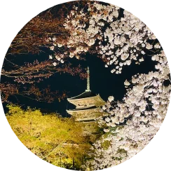 尾上 寛弥 (おのえ ひろや)
